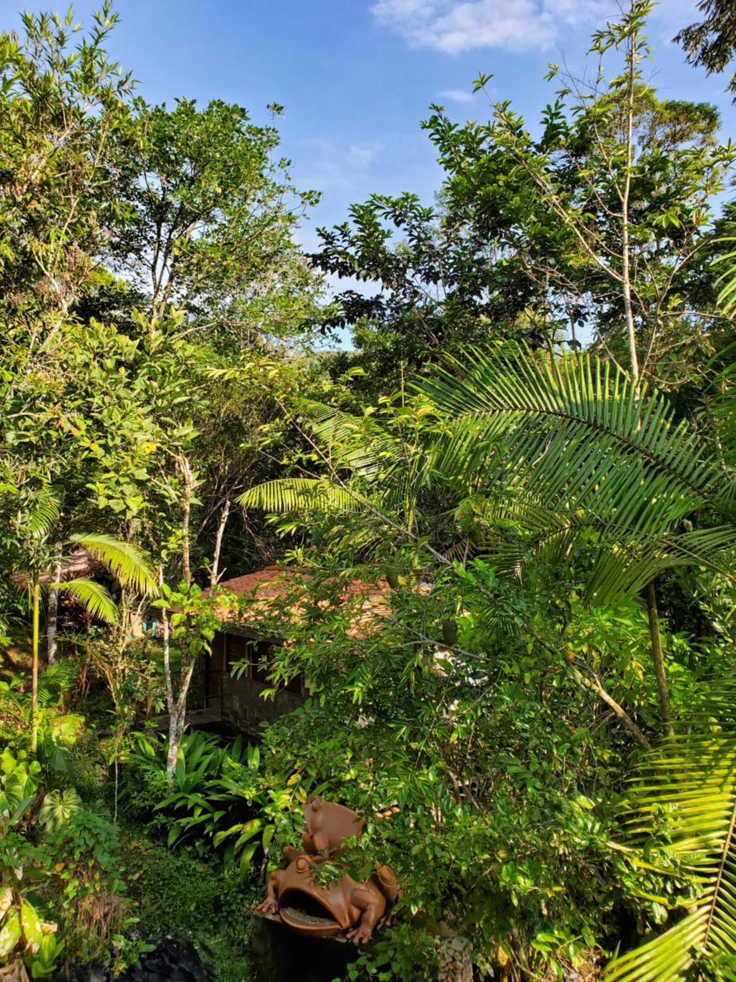 Ritmo Del Rio Villa San Rafael  Ngoại thất bức ảnh