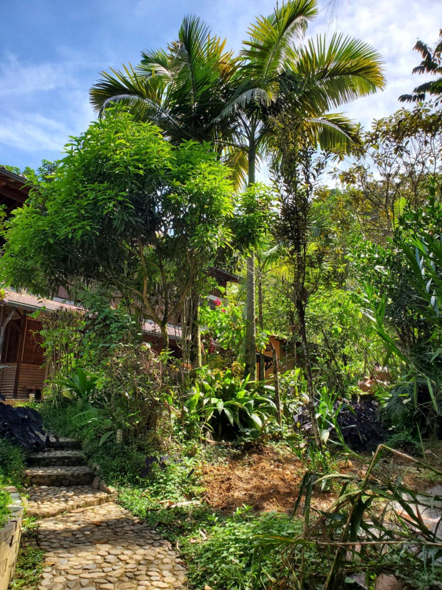 Ritmo Del Rio Villa San Rafael  Ngoại thất bức ảnh
